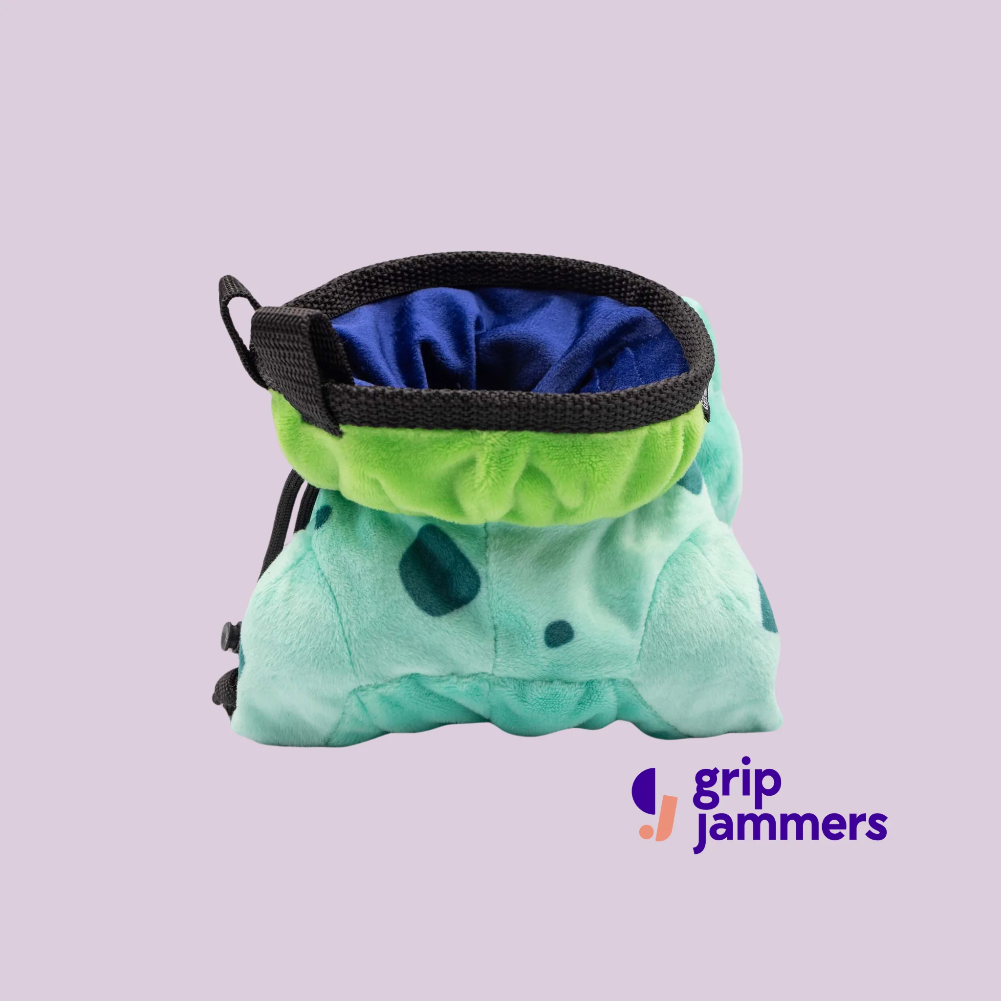Bulbasaur Chalk Bag - Image 3