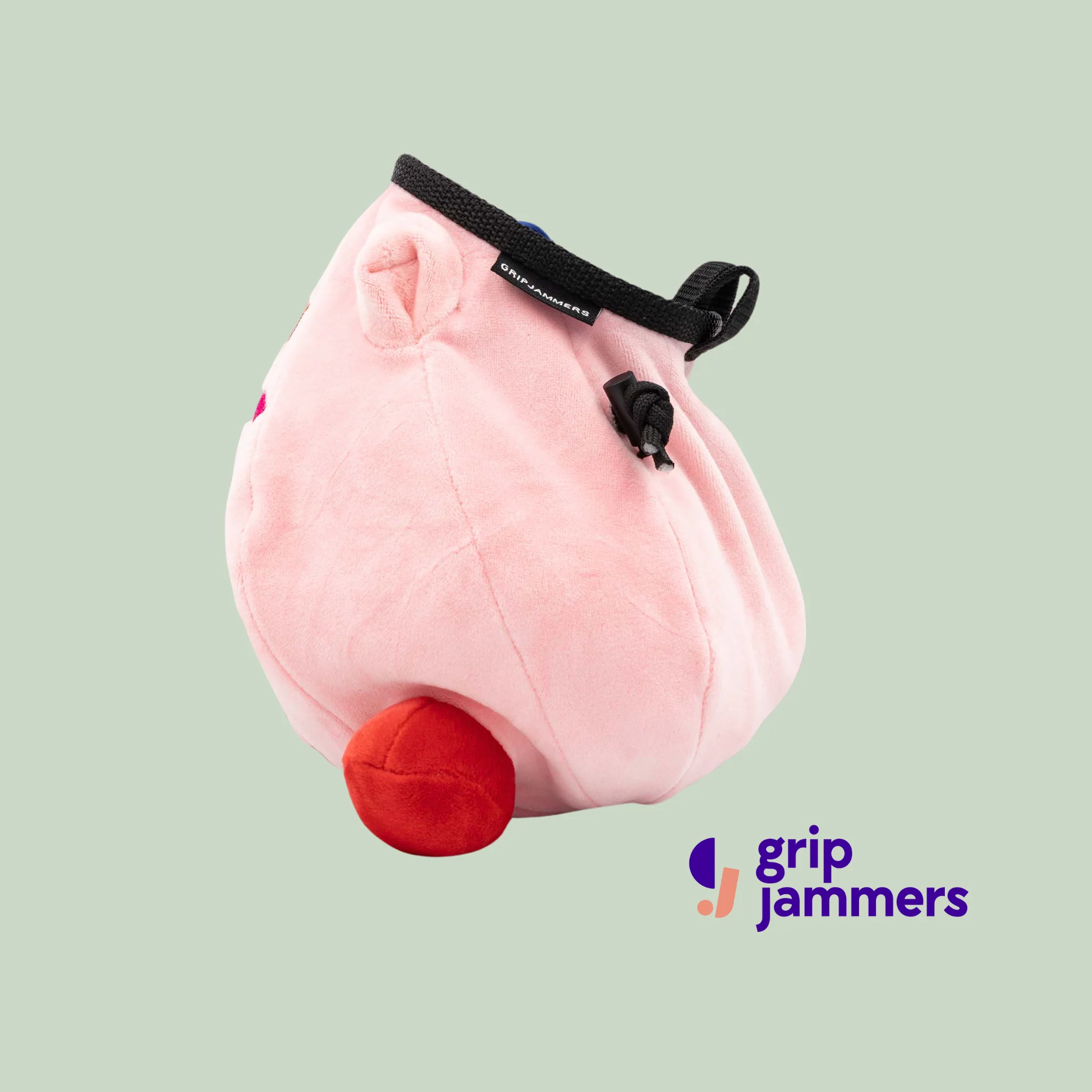 Kirby Chalk Bag - Image 4
